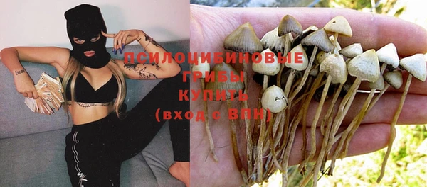 наркотики Новодвинск