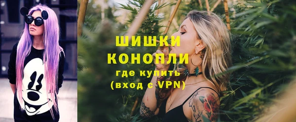 PSILOCYBIN Новозыбков