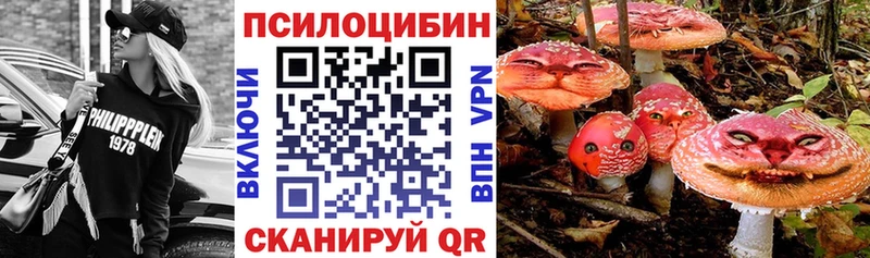 Псилоцибиновые грибы прущие грибы  как найти   Пестово 